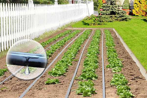 drip irrigation exporter in ahmedabad