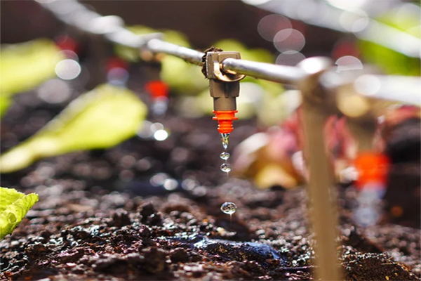 drip irrigation manufacture in india