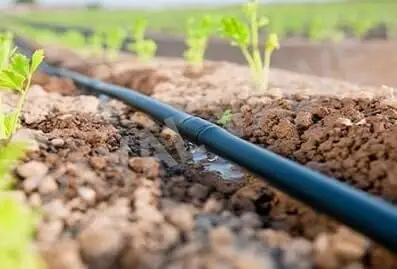 drip irrigation system manufacture